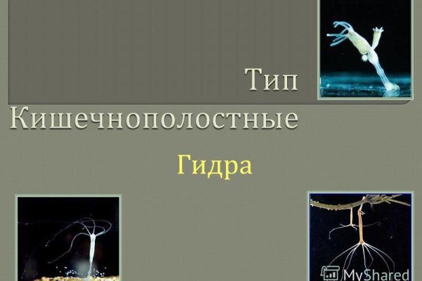 Кракен сайт пишет пользователь не найден